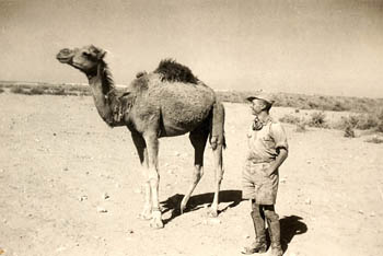 Foto aus dem Afrikafeldzug, Album von Herbert Köhler, das er später in die Kriegs- gefangenschaft nach Kanada mitnahm; Libyen