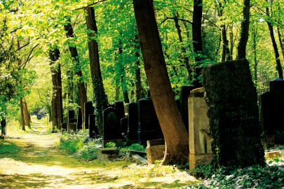 Im Himmel, Unter der Erde. Der Jüdische Friedhof Weißensee. Foto: Berlinale