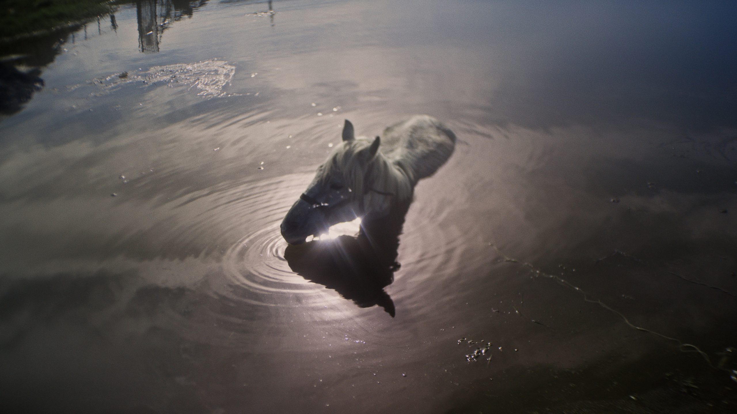 After Dreaming. Land: ARM, USA, MEX 2025.
Regie: Christine Haroutounian.
Sektion: Forum 2025.
Datei: 202508541_3.
© Mankazar Film