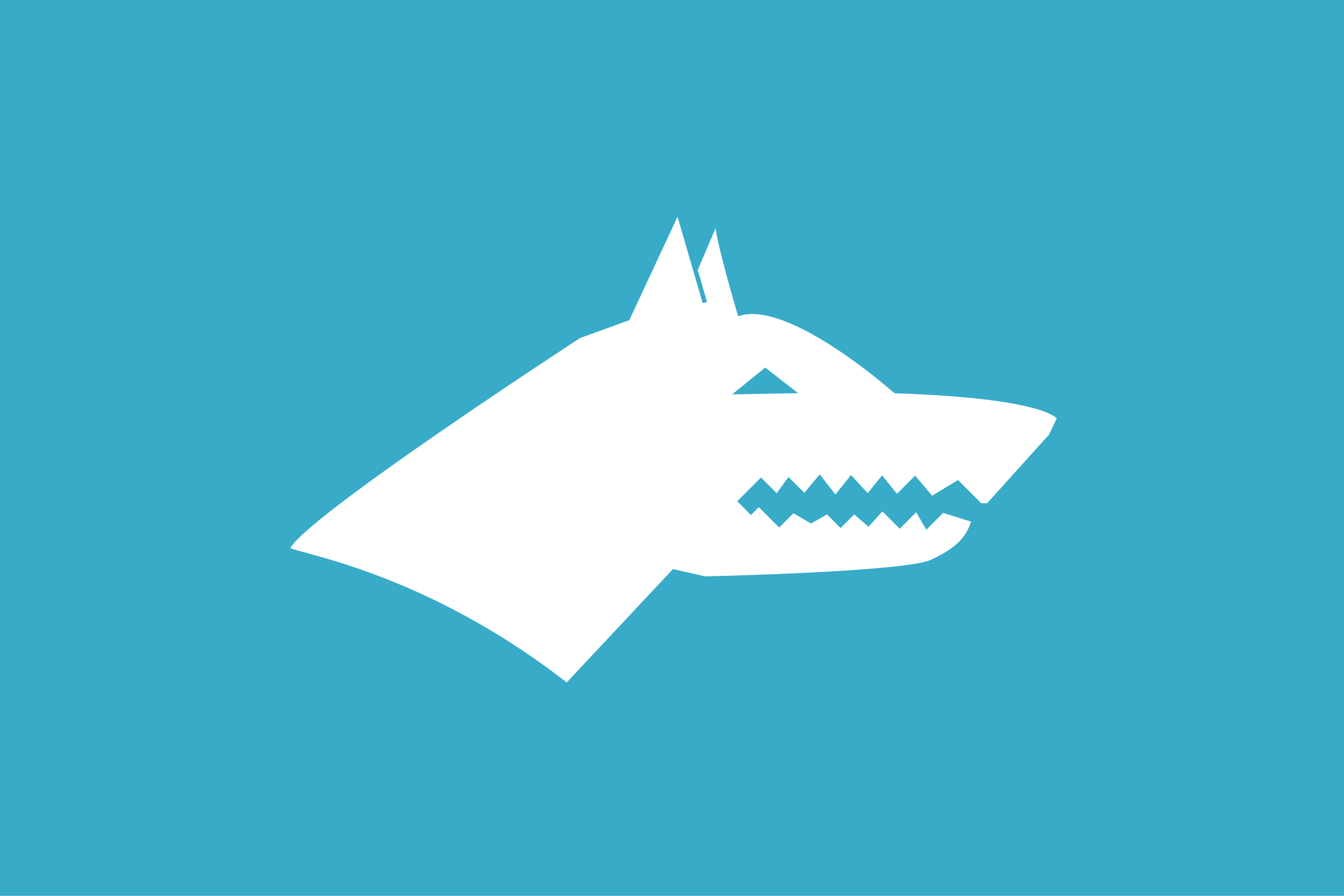 Die Wolfskopf-Flagge wird von den Grauen Wölfen und anderen panturkistischen Gruppen verwendet.